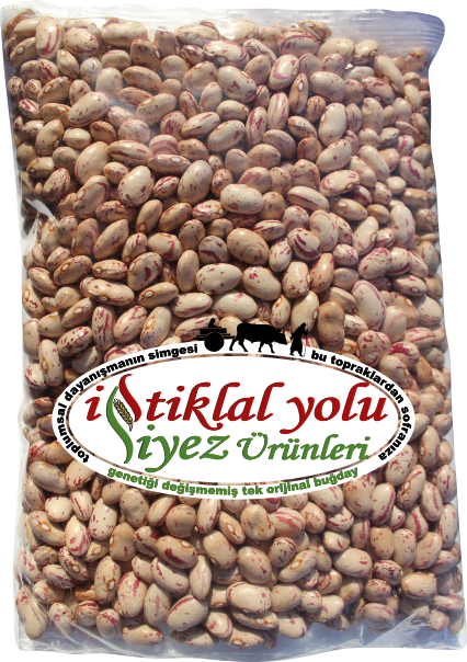 Fasulye (Barbunya 1)